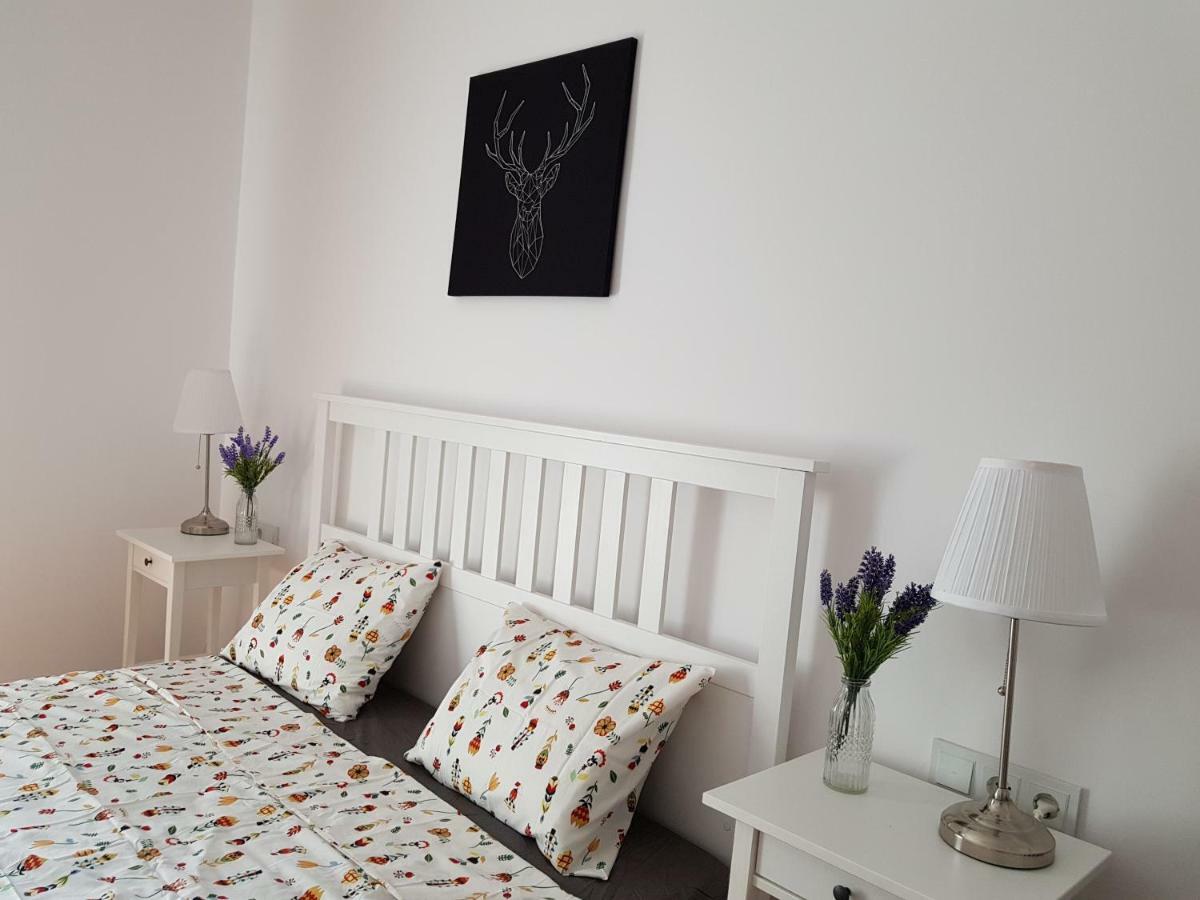 Oberiter Apartments - Center Of Zagreb, Fast Wifi, Ac, Kitchen, Parking Екстер'єр фото